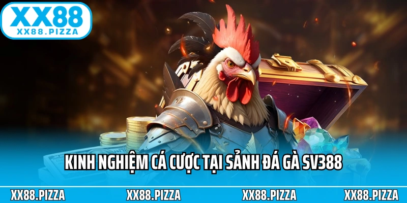 Kinh nghiệm cá cược tại sảnh đá gà SV388